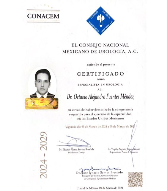 Ampliar imagen: certificate 3