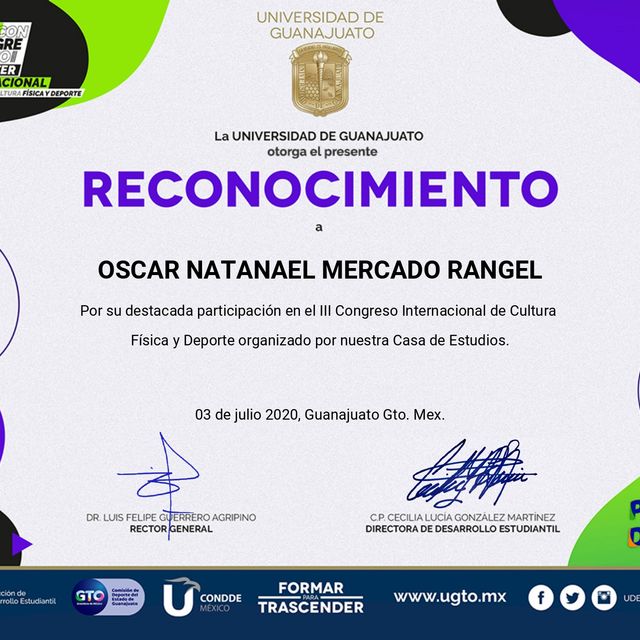 Ampliar imagen: certificate 24