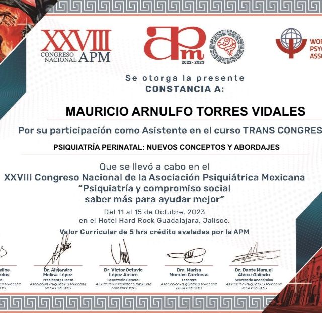 Ampliar imagen: certificate 8