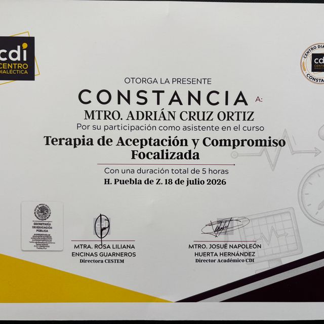 Ampliar imagen: certificate 20