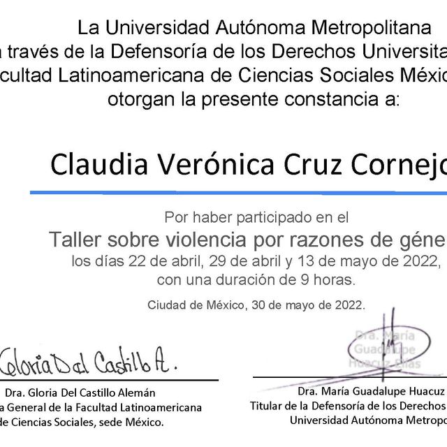 Ampliar imagen: certificate 6