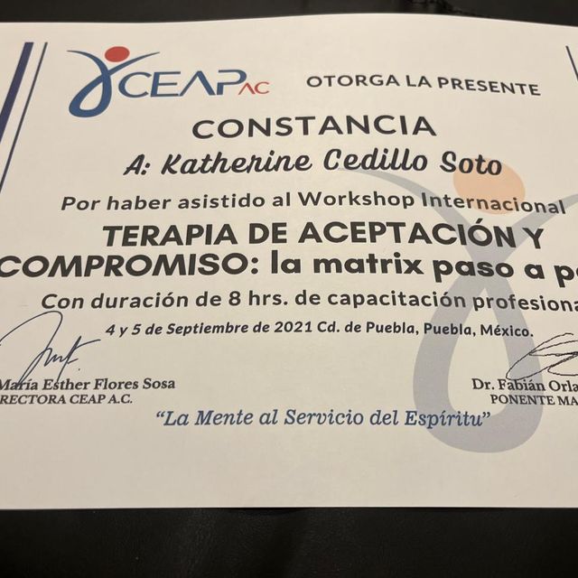 Ampliar imagen: certificate 13
