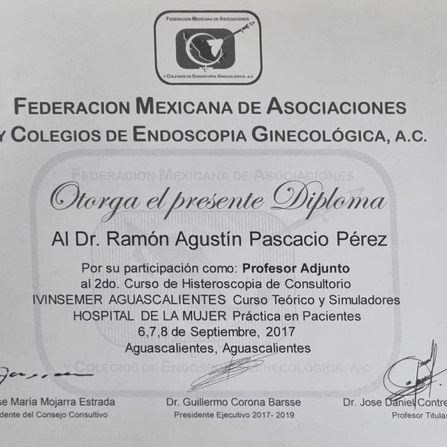 Ampliar imagen: certificate 38