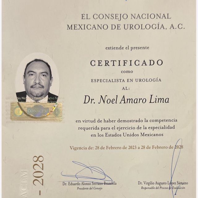Ampliar imagen: certificate 7