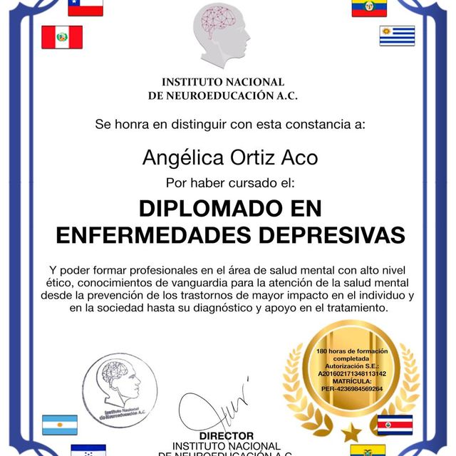 Ampliar imagen: certificate 16