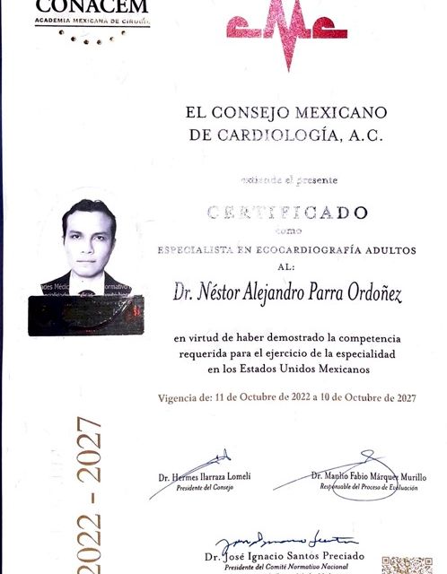 Ampliar imagen: certificate 4
