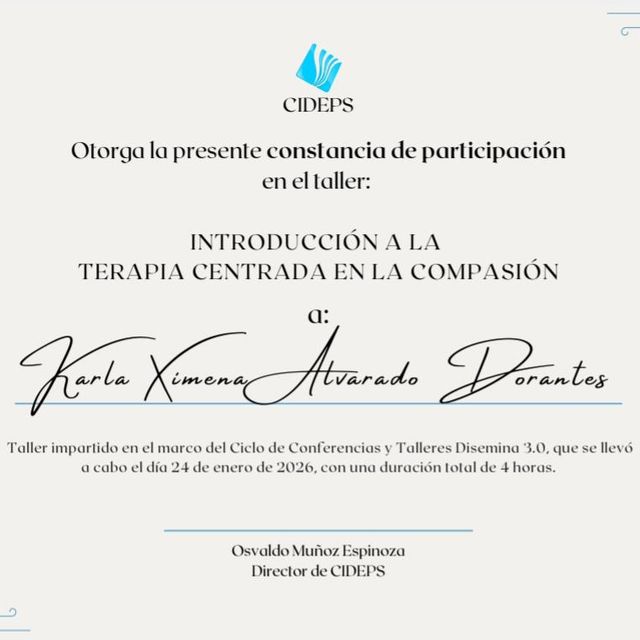 Ampliar imagen: certificate 3