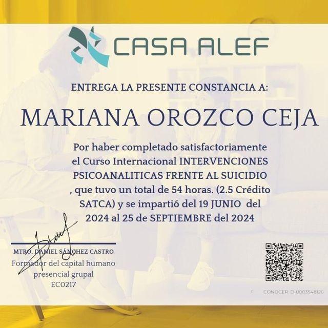 Ampliar imagen: certificate 17