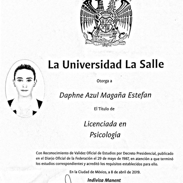 Ampliar imagen: certificate 5