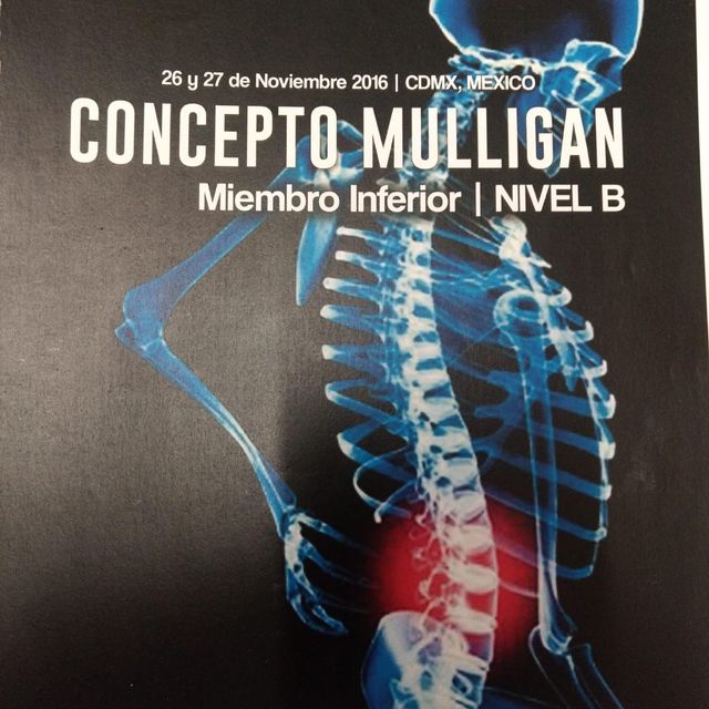 Ampliar imagen: certificate 13