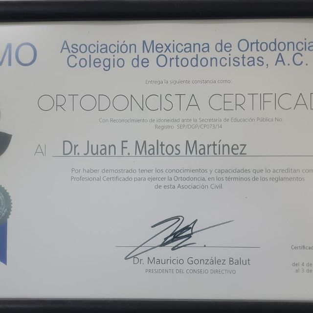 Ampliar imagen: certificate 4