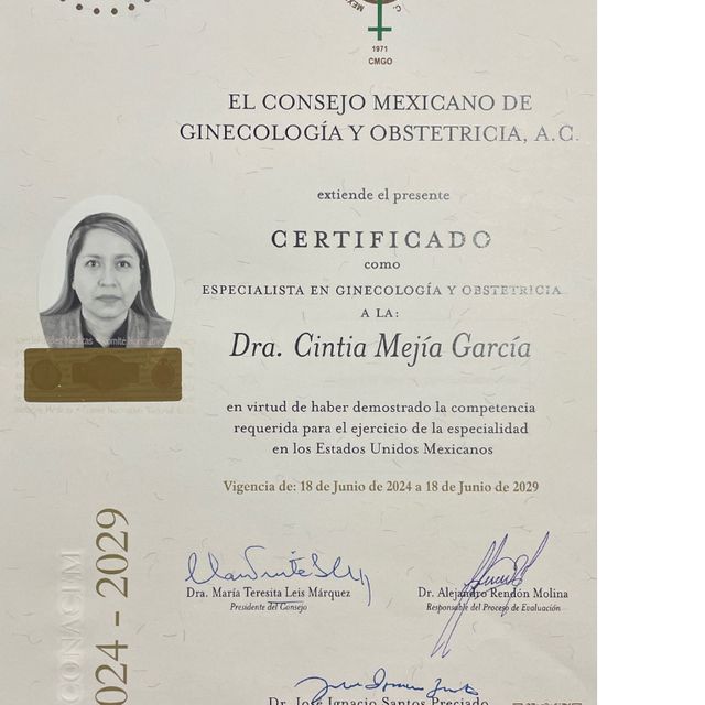 Ampliar imagen: certificate 1