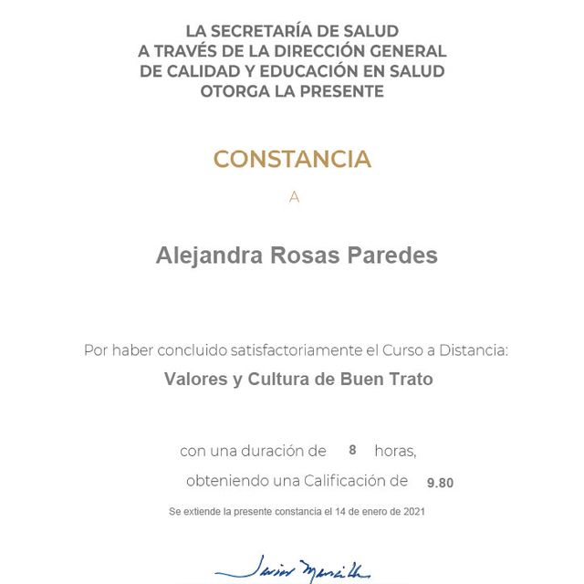 Ampliar imagen: certificate 28
