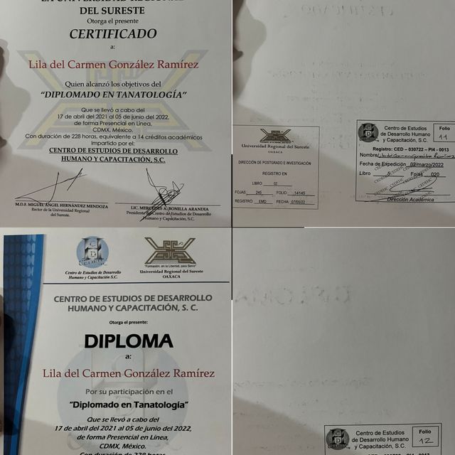Ampliar imagen: certificate 7