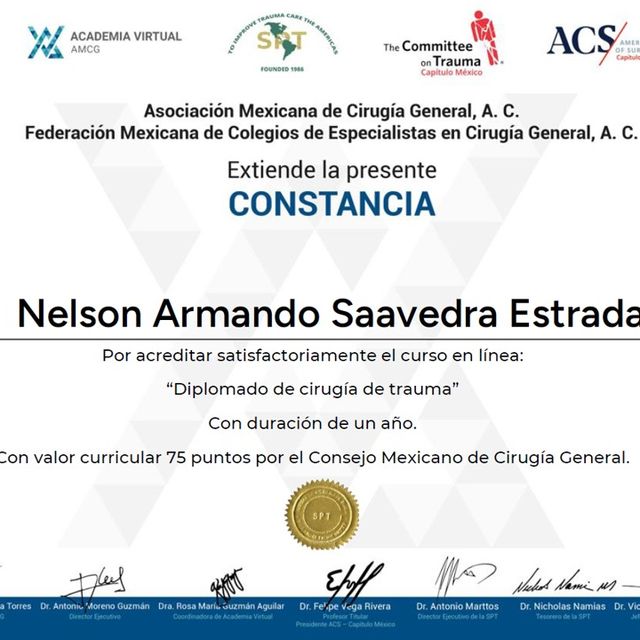Ampliar imagen: certificate 9