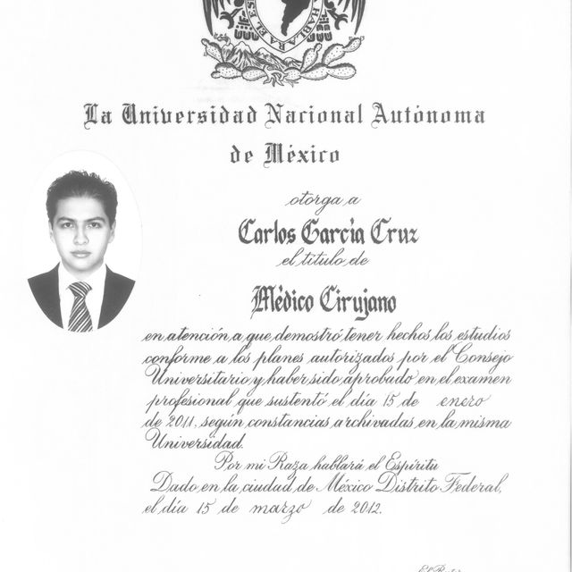 Ampliar imagen: certificate 6