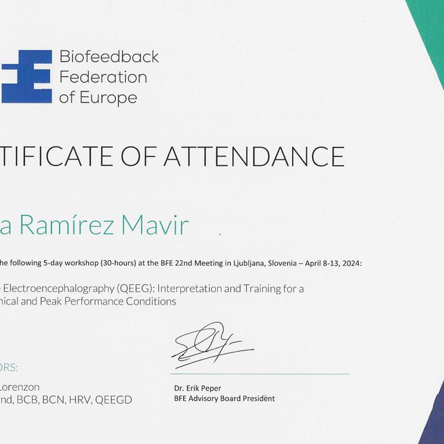 Ampliar imagen: certificate 2