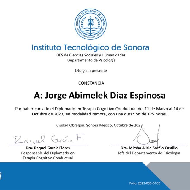 Ampliar imagen: certificate 2