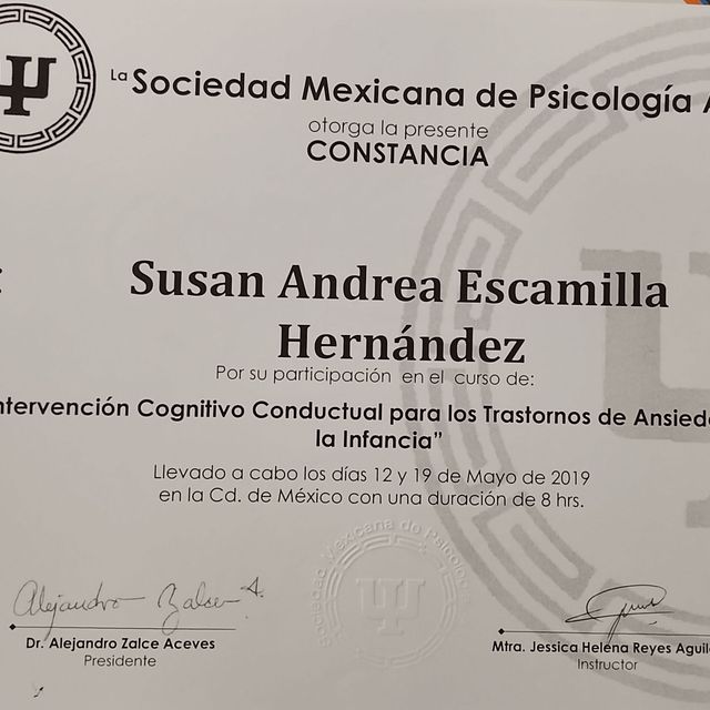 Ampliar imagen: certificate 3