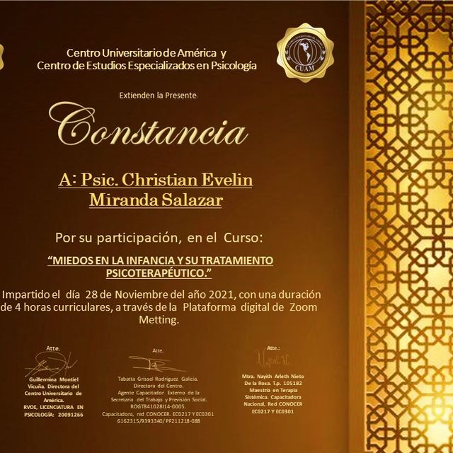 Ampliar imagen: certificate 4