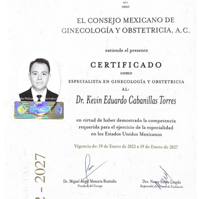 Ampliar imagen: certificate 2