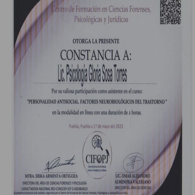 Ampliar imagen: certificate 3