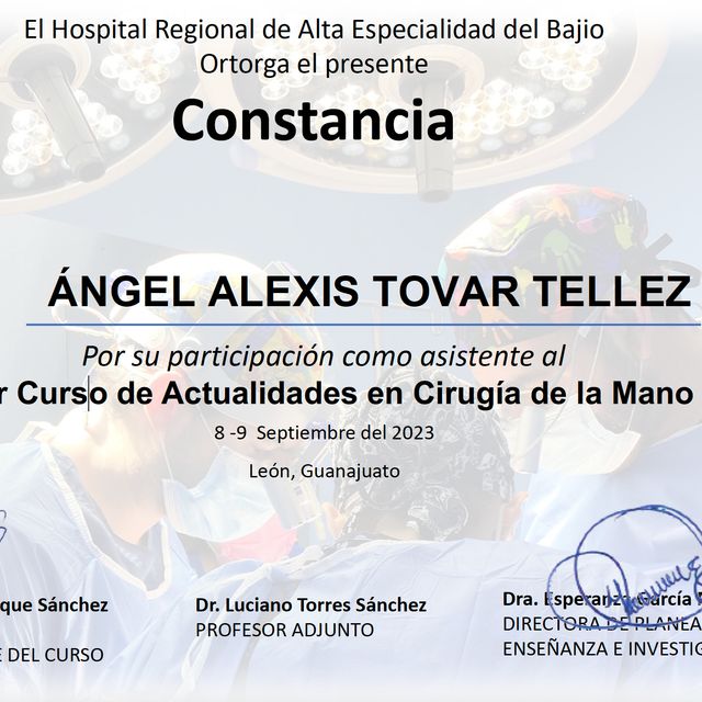Ampliar imagen: certificate 15