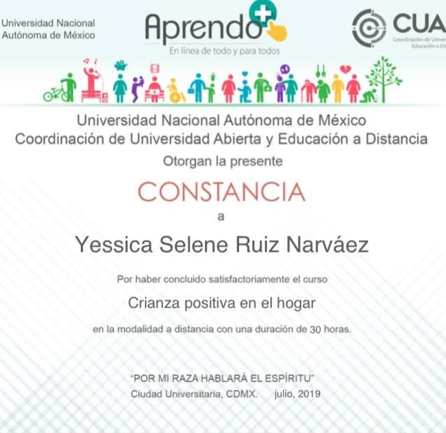 Ampliar imagen: certificate 3