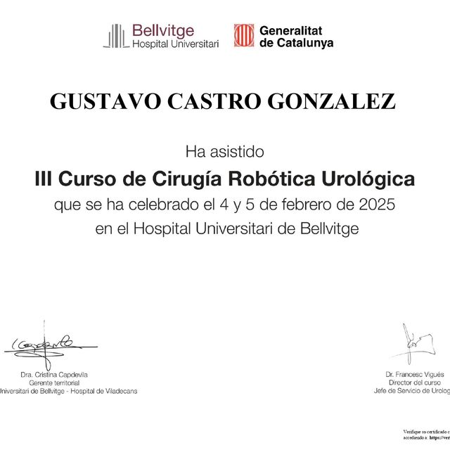 Ampliar imagen: certificate 3