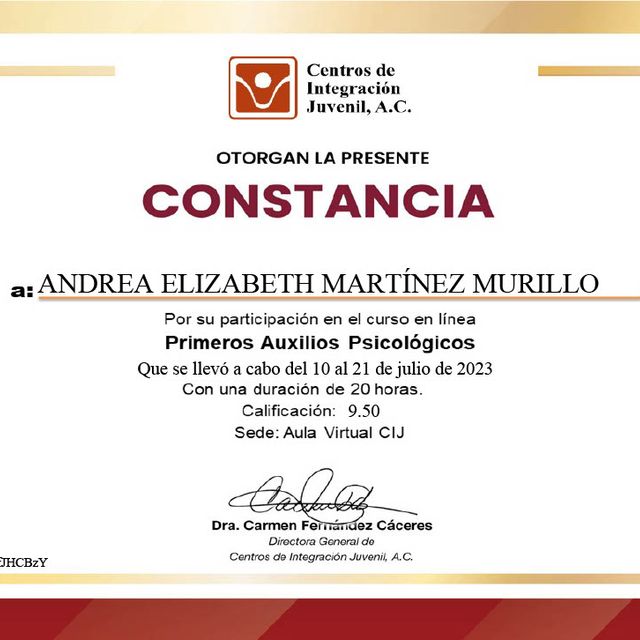 Ampliar imagen: certificate 15