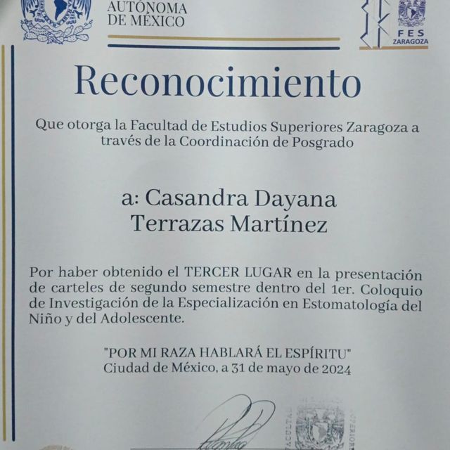 Ampliar imagen: certificate 8