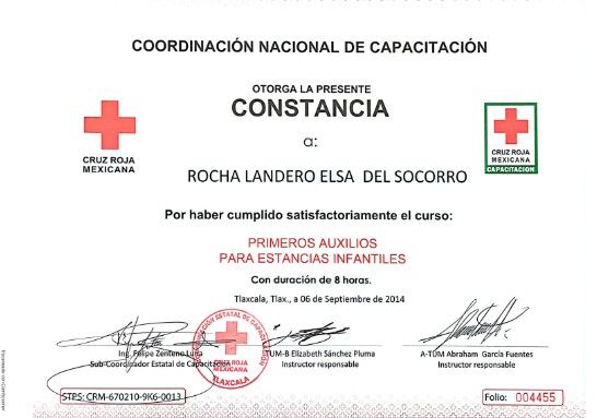 Ampliar imagen: certificate 3