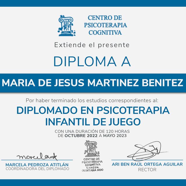 Ampliar imagen: certificate 1