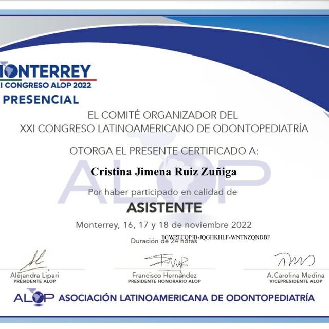 Ampliar imagen: certificate 1