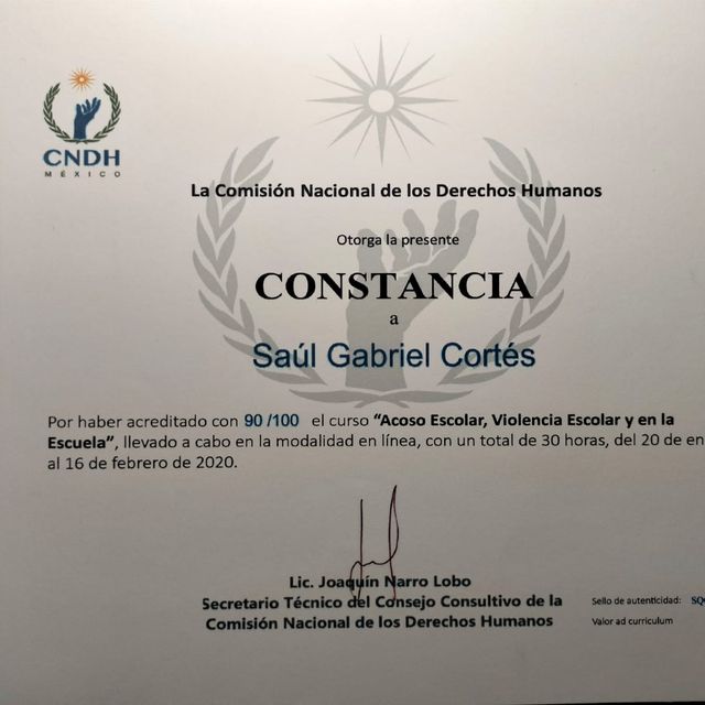 Ampliar imagen: certificate 3