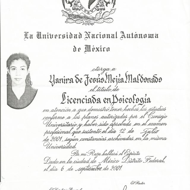 Ampliar imagen: certificate 3