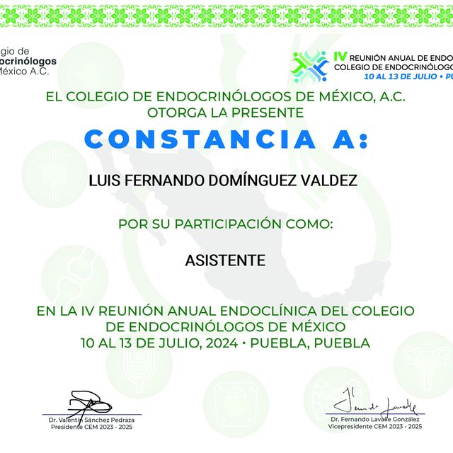 Ampliar imagen: certificate 9