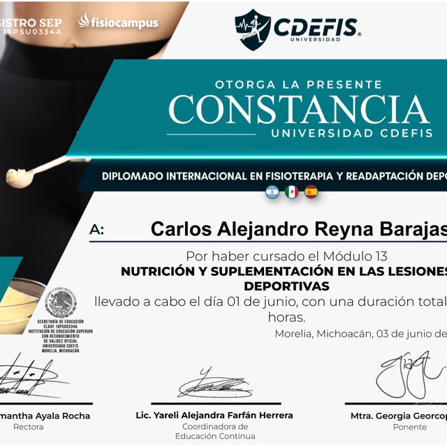 Ampliar imagen: certificate 14
