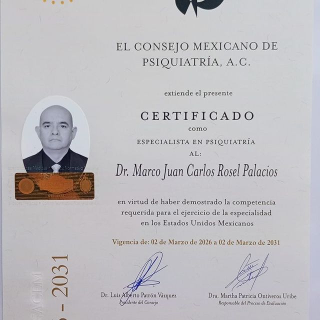 Ampliar imagen: certificate 1