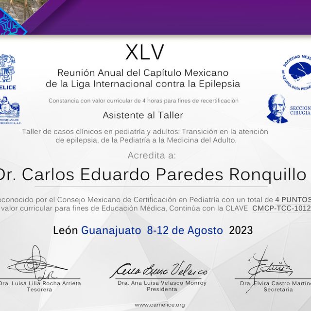 Ampliar imagen: certificate 1