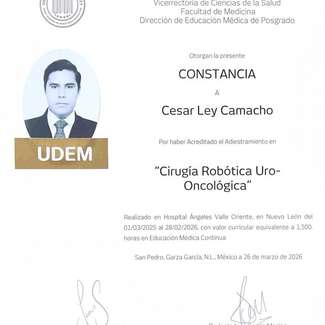 Ampliar imagen: certificate 3