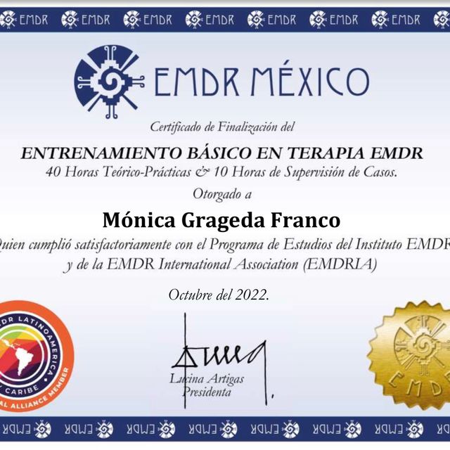 Ampliar imagen: certificate 3