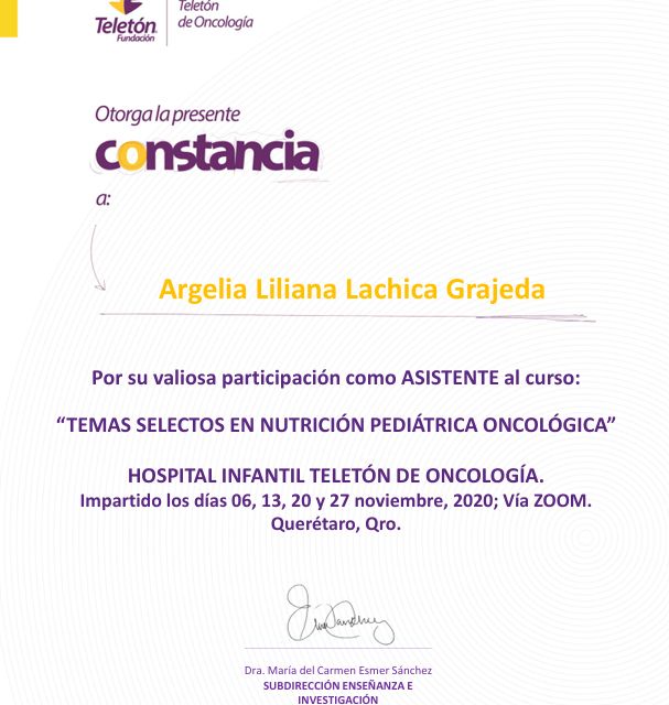 Ampliar imagen: certificate 7