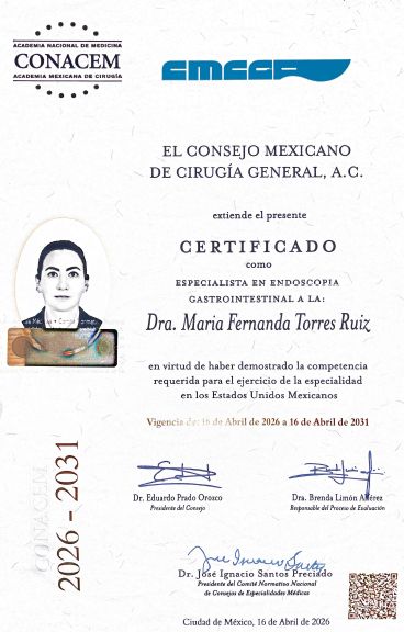 Ampliar imagen: certificate 6