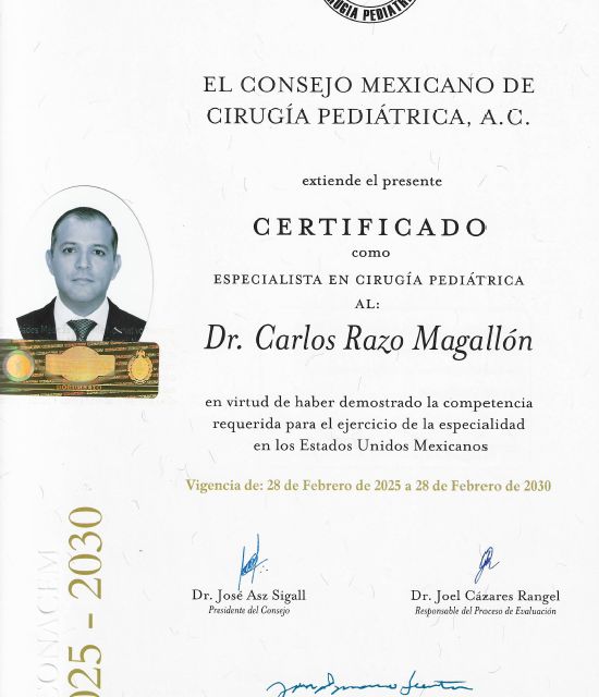 Ampliar imagen: certificate 5