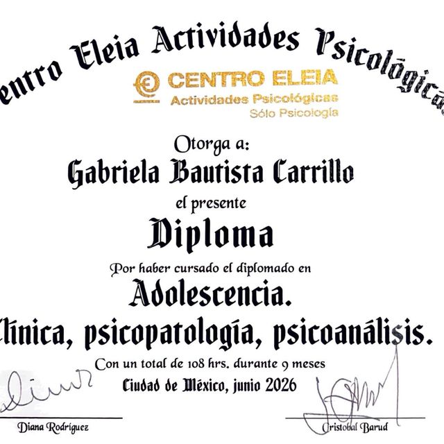 Ampliar imagen: certificate 5