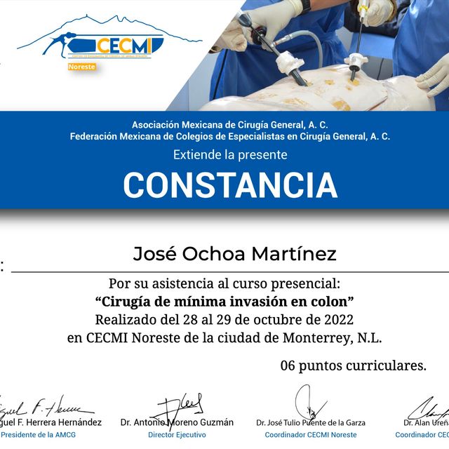 Ampliar imagen: certificate 7