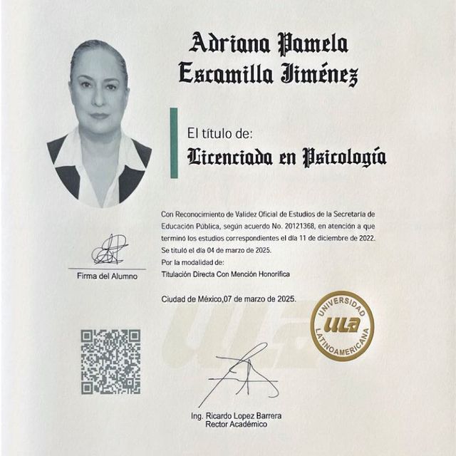 Ampliar imagen: certificate 1