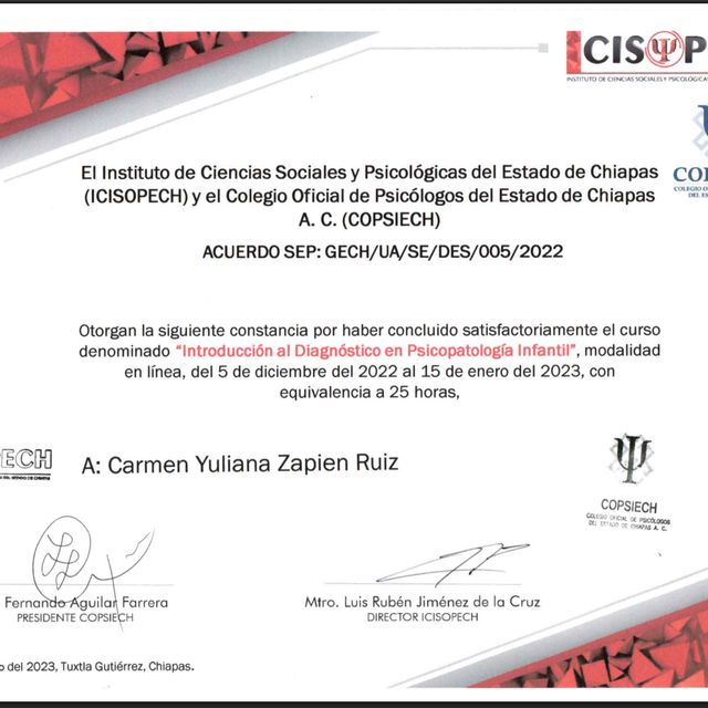Ampliar imagen: certificate 3