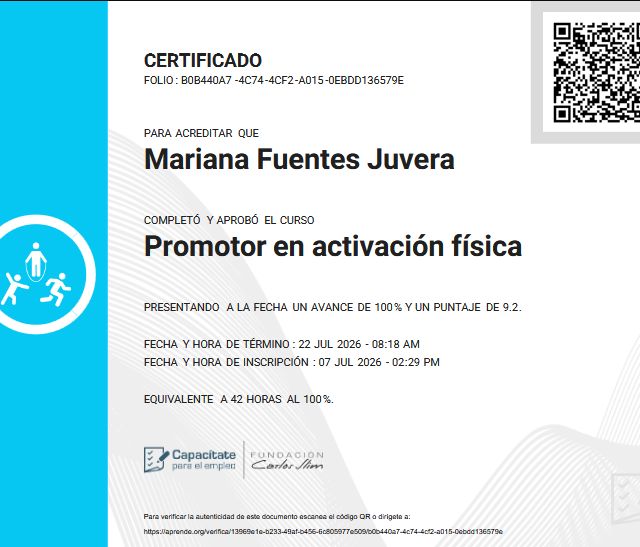 Ampliar imagen: certificate 4